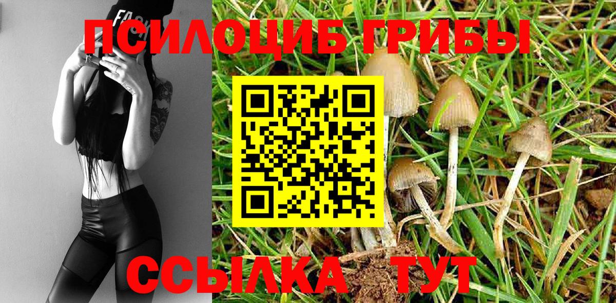 Псилоцибиновые грибы ЛСД Лянтор