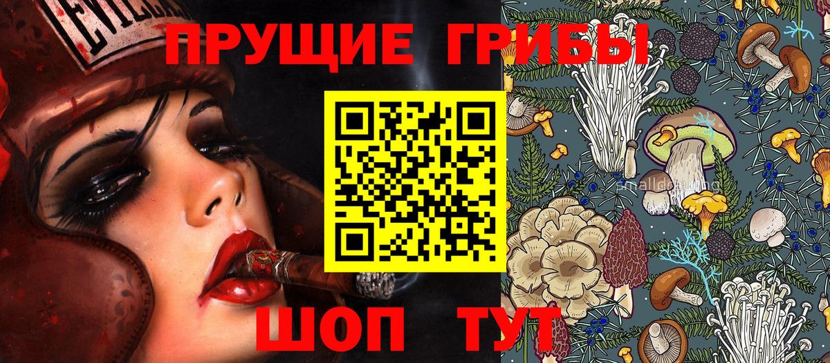 Псилоцибиновые грибы Psilocybine cubensis  Псилоцибиновые грибы Psilocybine cubensis  Вход с VPN  Лянтор 